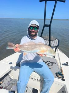 Photo of a River Carpsucker caught while fishing in TX