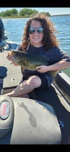 6Ilb small mouth bass 