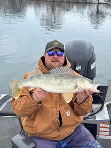A sauger fish measuring 21 inches, caught while fishing in OR