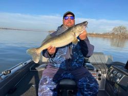 Sauger fish caught fishing in OR