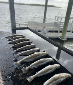 Unleash Galveston's Sea Trout Wonders