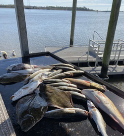 Redfish, Sea Trout Fishing in Tiki Island