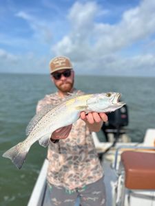 Early morning drift on Galveston Bay flats