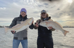 Redfish Fishing: Tiki Island Fishing Charters!