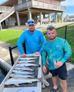 5 huge fishing on tiki island