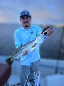 Lone angler fishing in TX