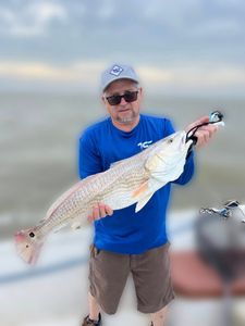 Redfish catch in Texas