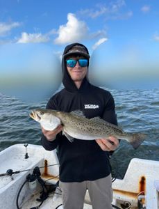 Photograph of a 24-inch spotted weakfish caught while fishing on Tiki Island.