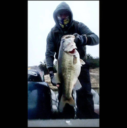 Largemouth bass caught during fishing tour in Port Aransas