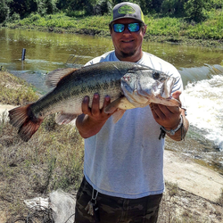 Largemouth Bass caught in TX