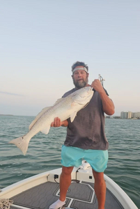 Redfish caught during fishing tours in TX