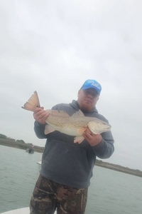 Redfish caught while fishing in Port Aransas