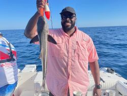 Trophy Sized Cobia In Wrightsville, NC