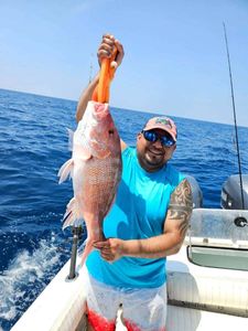 Snapper Glory In Wrightsville NC