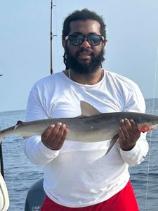 Wrightsville, NC Prized Cobia