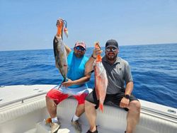 Reds And Tuna Classic Combo