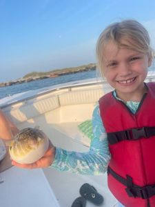 Puffer Magic in  Wrightsville Beach, NC