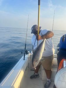 Wrightsville, NC Amberjack Bounty