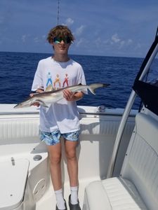 Wrightsville, NC Trophy Size Cobia