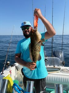 Gag grouper caught fishing in NC