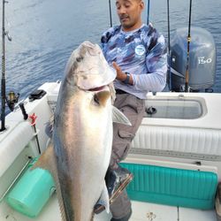 One big greater amberjack fish caught at Wrightsville Beach
