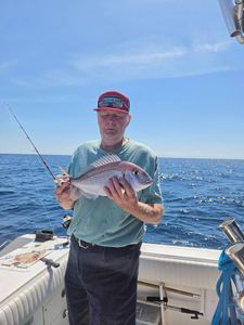 Red porgy catch held on fishing boat off Wrightsville Beach NC