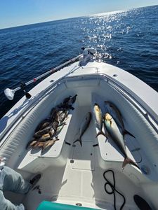 Three fish caught at Wrightsville Beach while fishing