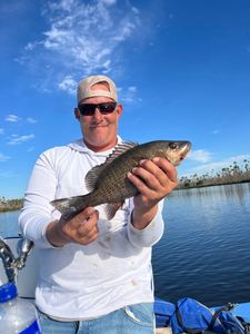 Grey snapper caught while fishing in FL
