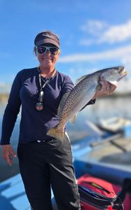 Spotted Weakfish caught while fishing in FL