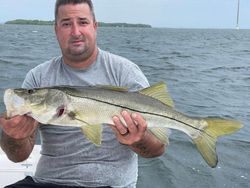 Huge Snook Caught in Fort Myers