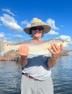 Florida's Big Red Fish