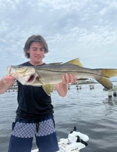 Big Snook caught with Fort Myers fishing guides