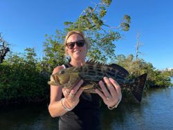 Black Grouper, 22 inches, fishing in FL