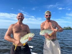 Two crevalle jack fishing in Fort Myers