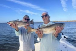Two large redfish caught during a fishing trip in Florida