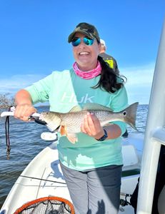 Redfish FL