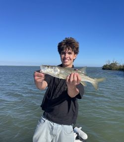Snook catch displayed in Fort Myers FL fishing waters