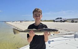 Speckled trout catch displayed on boat in Fort Myers FL