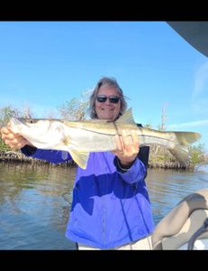 Snook, a 34-inch fish, caught while fishing in FL