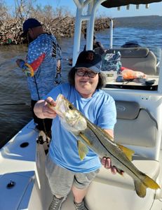 Snook, a large fish caught while fishing in FL