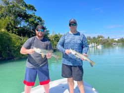 Snook, Snook fish caught while fishing in FL