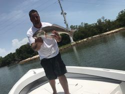 Redfish alert! Fort Myers, FL