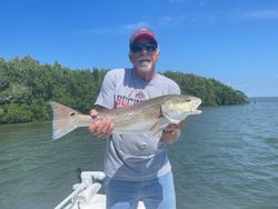 Redfish alert! Fort Myers, FL