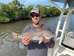 Redfish caught by angler in Fort Myers