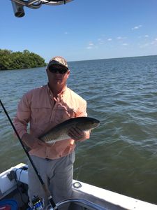 Redfish caught by angler in Fort Myers