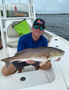 Redfish catch in FL