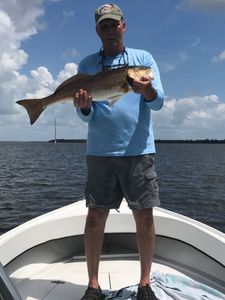Redfish caught in Fort Myers