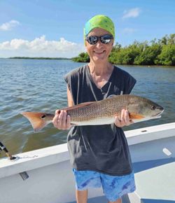 Redfish caught while fishing in FL