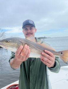 Large redfish caught in FL
