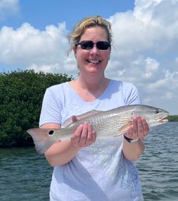 Redfish caught fishing in Fort Myers